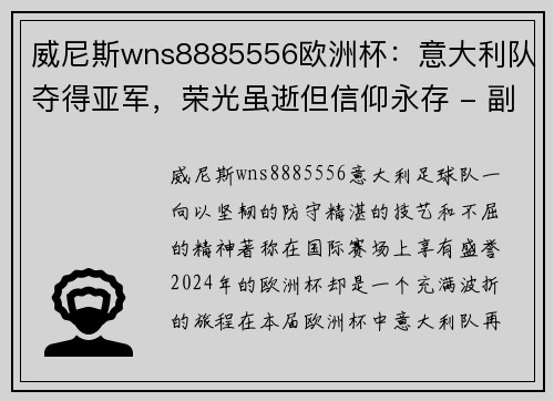 威尼斯wns8885556欧洲杯：意大利队夺得亚军，荣光虽逝但信仰永存 - 副本