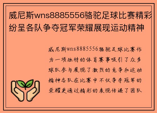 威尼斯wns8885556骆驼足球比赛精彩纷呈各队争夺冠军荣耀展现运动精神