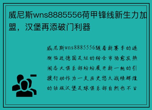 威尼斯wns8885556荷甲锋线新生力加盟，汉堡再添破门利器